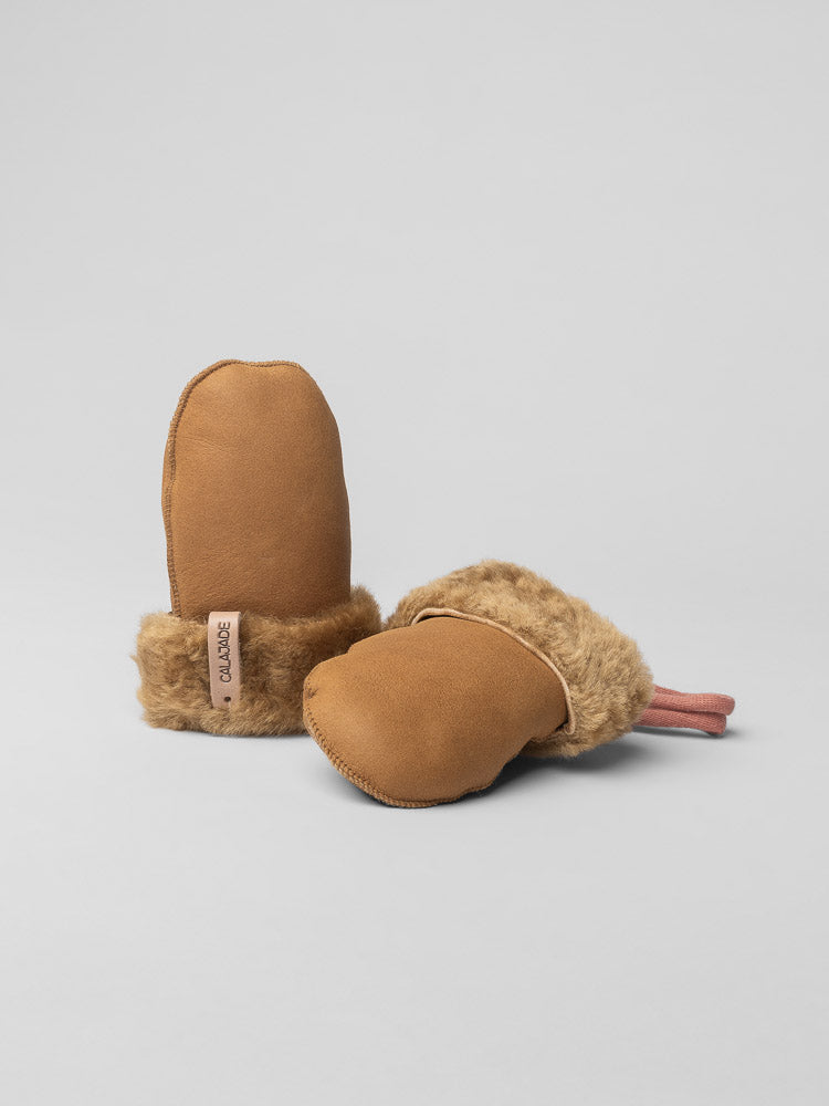 New Camel